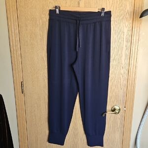 Fabletics Woman's Deep Blue Joggers